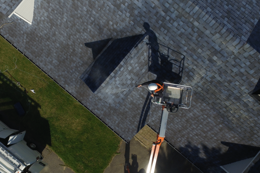 Crane overhead_RAW